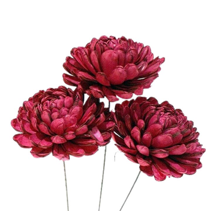 Botanico Ltd. - Wholesale Artificial Flowers - Sola Chrysanthemum3