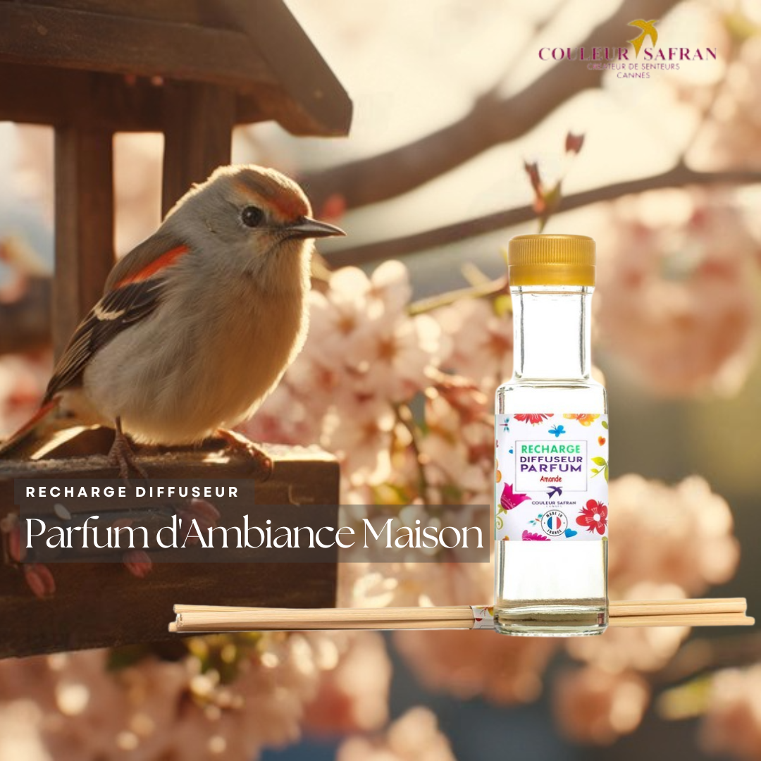 Couleur Safran Parfums - Vendita all'ingrosso Diffusori a lamella - Ricarica Profumo da 100 ml per Diffusore + 5 Bacchette di Rattan2