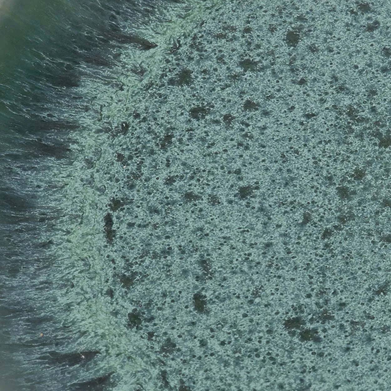 Bazar Bizar Living - Wholesale Dinner Plate - The Aqua Dinner Plate2