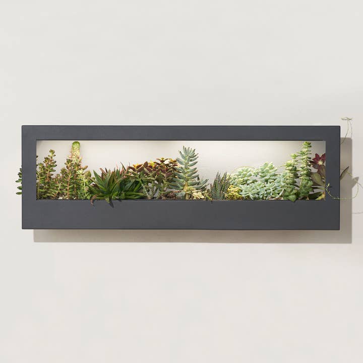 Modern Sprout - Wholesale Wall Planter - Smart LED Light Landscape Growframe