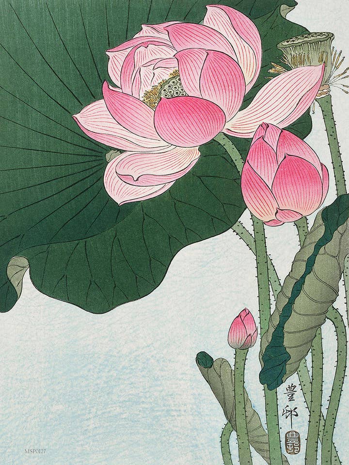 Flowering Lotus by Ohara Koson 1900 - 1945 Japenese Poster Art Print 30x40cm for wholesale by On The Wall Art Ltd