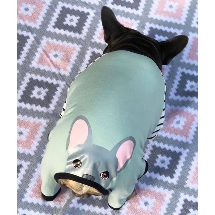 Frenchiestore - Wholesale Pet Pajamas - Dog - French Bulldog Pajamas | Blue Frenchie Dog1