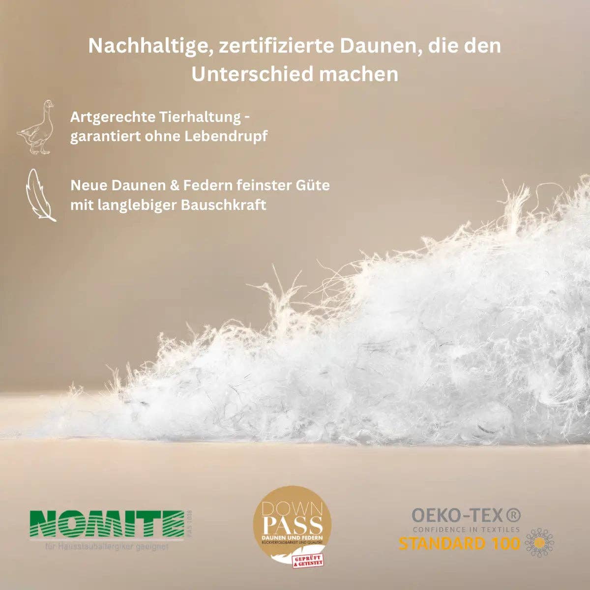 Luxecosy - Wholesale Bedding Pillow - Luxury down pillow8