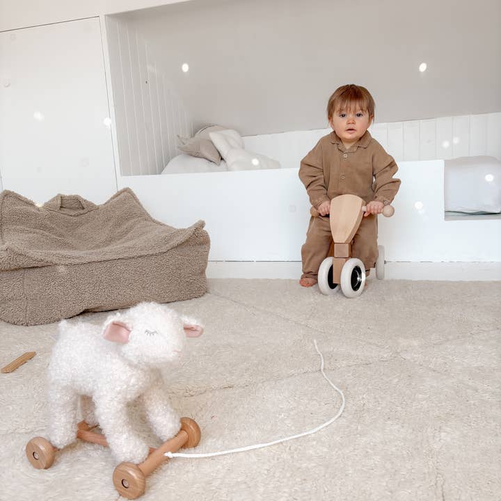 Egmont - Wholesale Classic Toy - Kids - Pull-Along Mary16