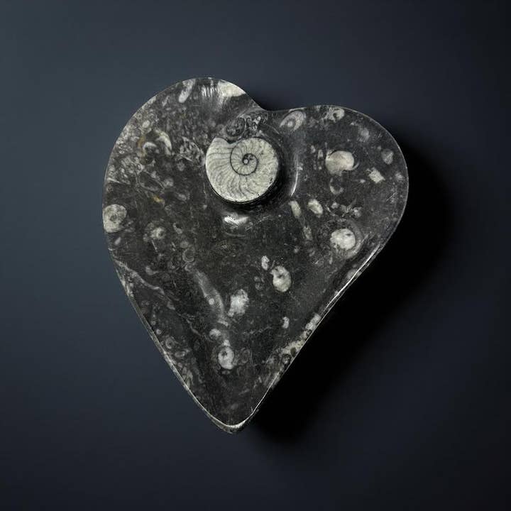 Cuenco en forma de corazón de fósil - 1 pieza para venta al por mayor de Crystal Deal