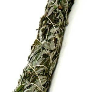 Green Tree - Wholesale Sage bundle - Black Sage 22.5 Cm0
