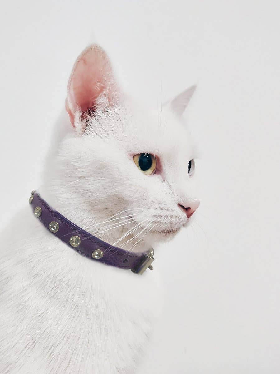 Angel Pet Supplies Inc. - Wholesale Pet Collar - Cat - Athens Cat Collar with Rhinestones by ANGEL™17