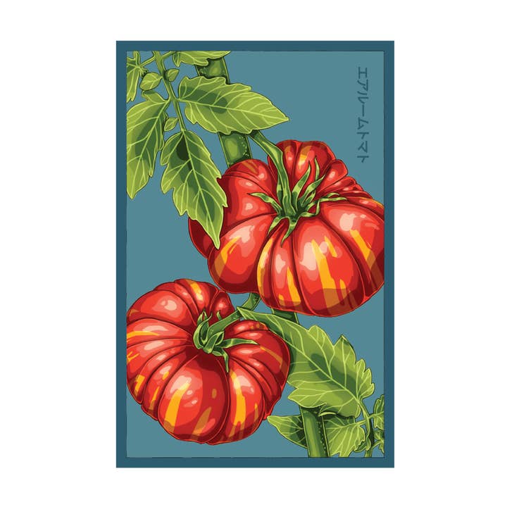 Chive - Wholesale Plant Seeds - 2026 Old German Heirloom Tomato Vegetable Seeds Packet