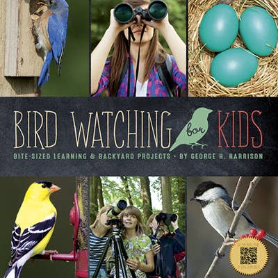 Bird Watching For Kids Book for wholesale by Willow Creek Press & Gifts
