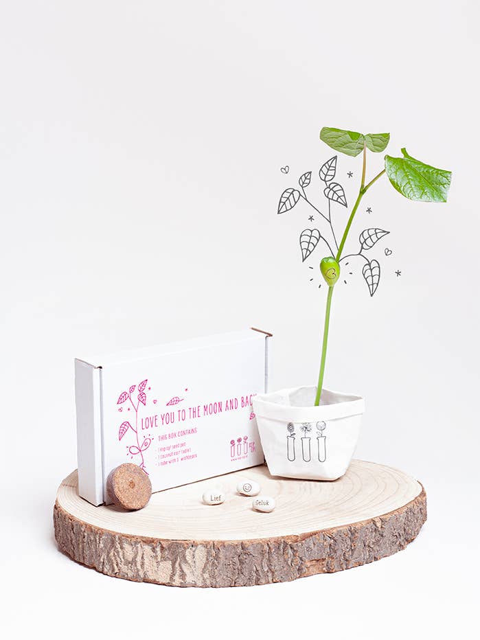 Wish box: Love you to the moon and back for wholesale by Kop op!