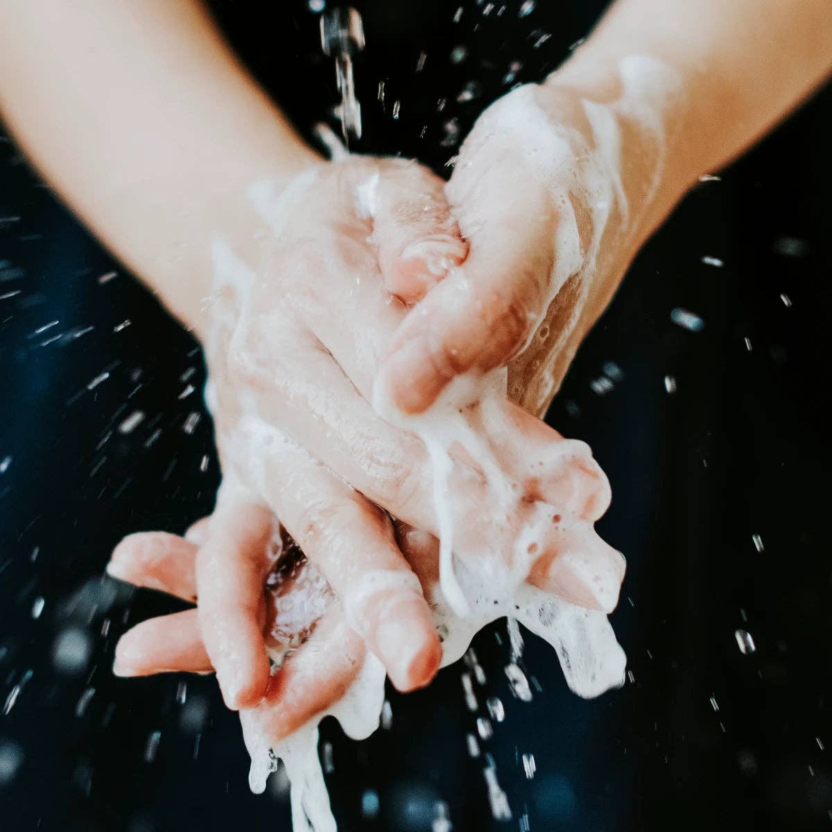 The Primal - Wholesale Bar Soap - Sweet Orange Charcoal Tallow Soap1