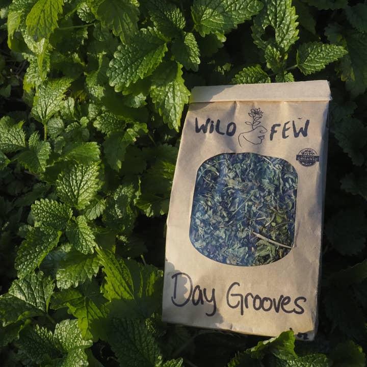Day Grooves - Tea Blend for wholesale by Wild Few Herb Farm