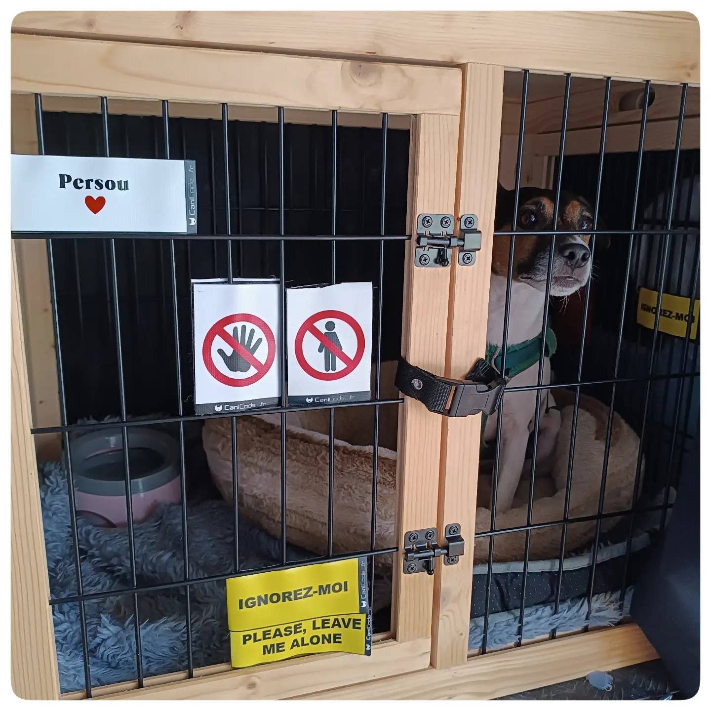 AniCode - Wholesale Pet Collar Charm - Dog - Scratch front/back CaniCode® PICTO HAND3