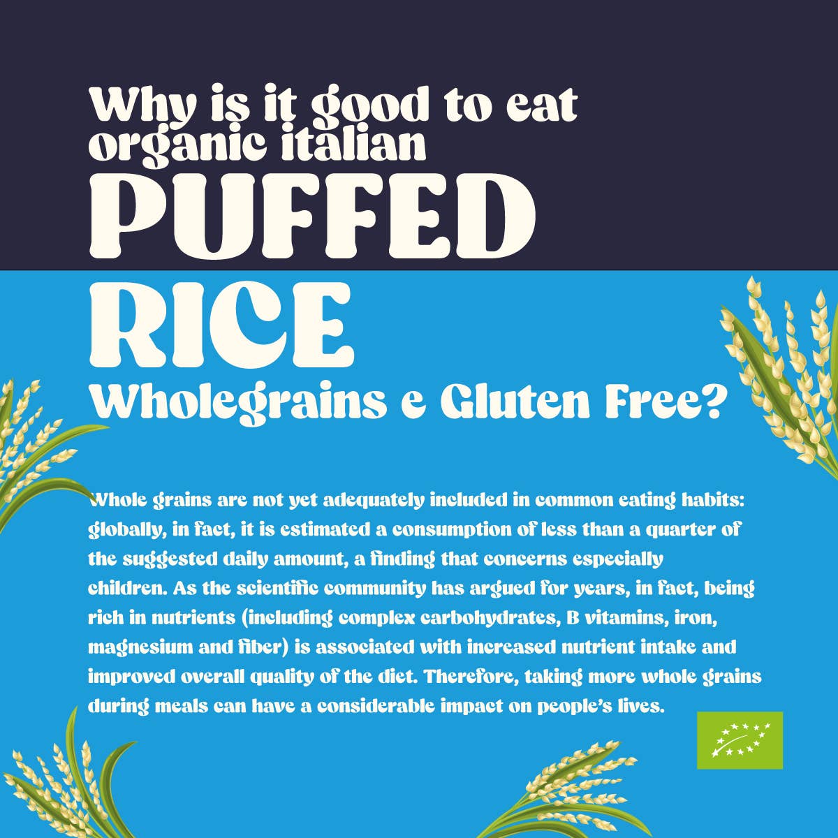 Stella Foods s.r.l. - Wholesale Rice - STELLA Organic Gluten-Free Wholemeal Puffed Rice 100g4