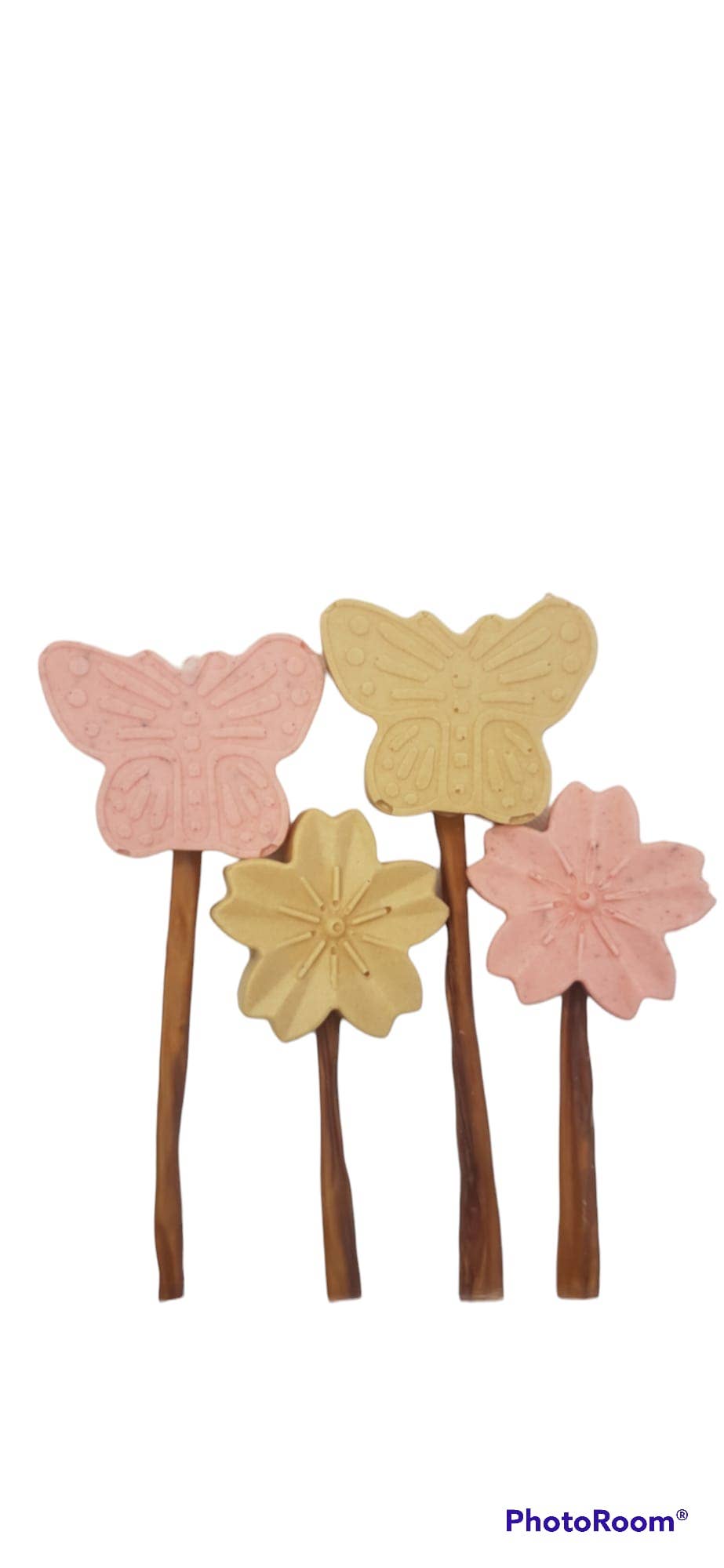 Manufaktur Sweet Crunchy Bit® Handmade DogFood 🐾 - Wholesale Pet Treats - Dog - Summer Lolly Mix1