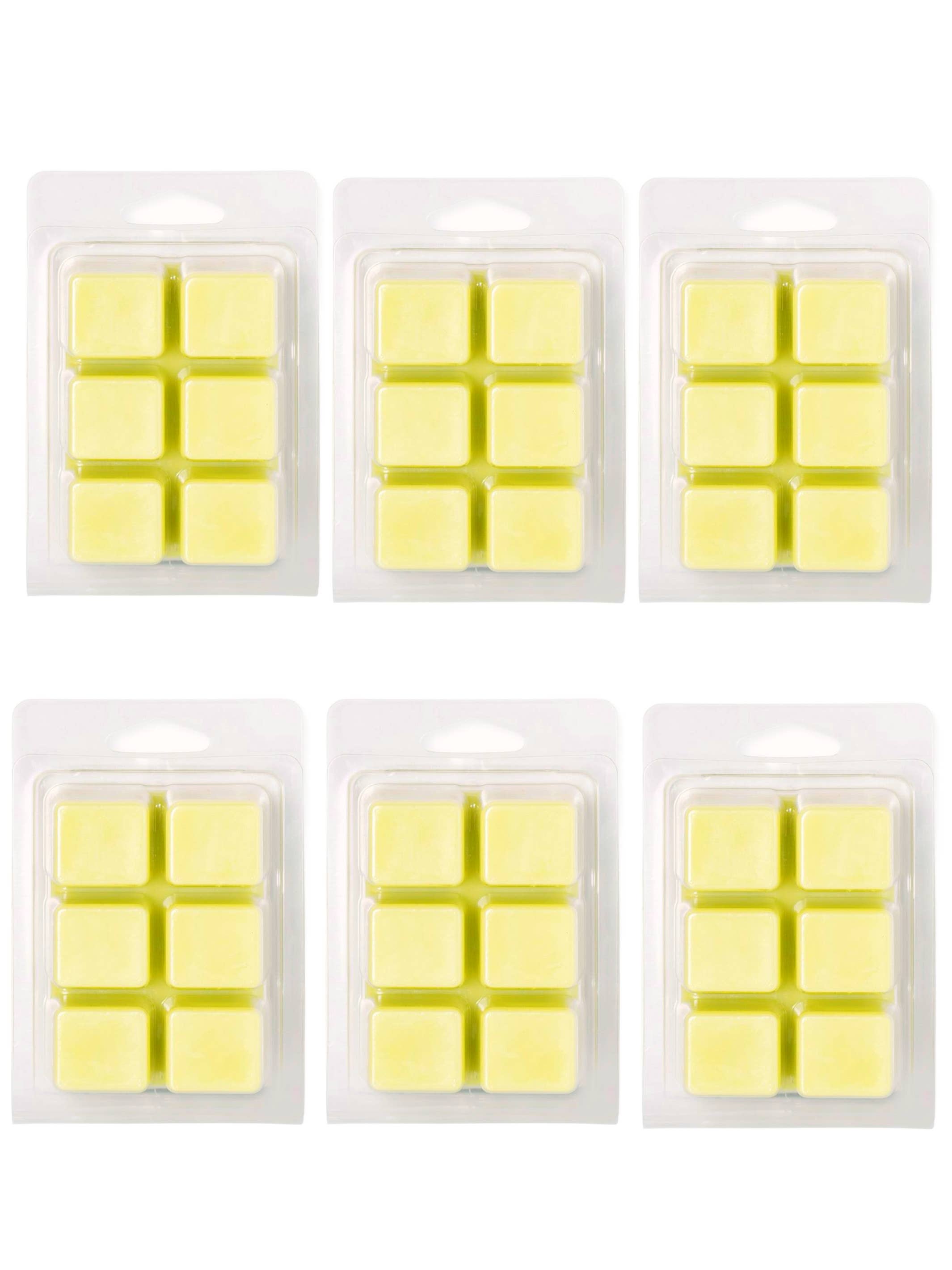 Claire Burke - Wholesale Wax Melt - Sparkling Citron Verbena Wax Melt 1