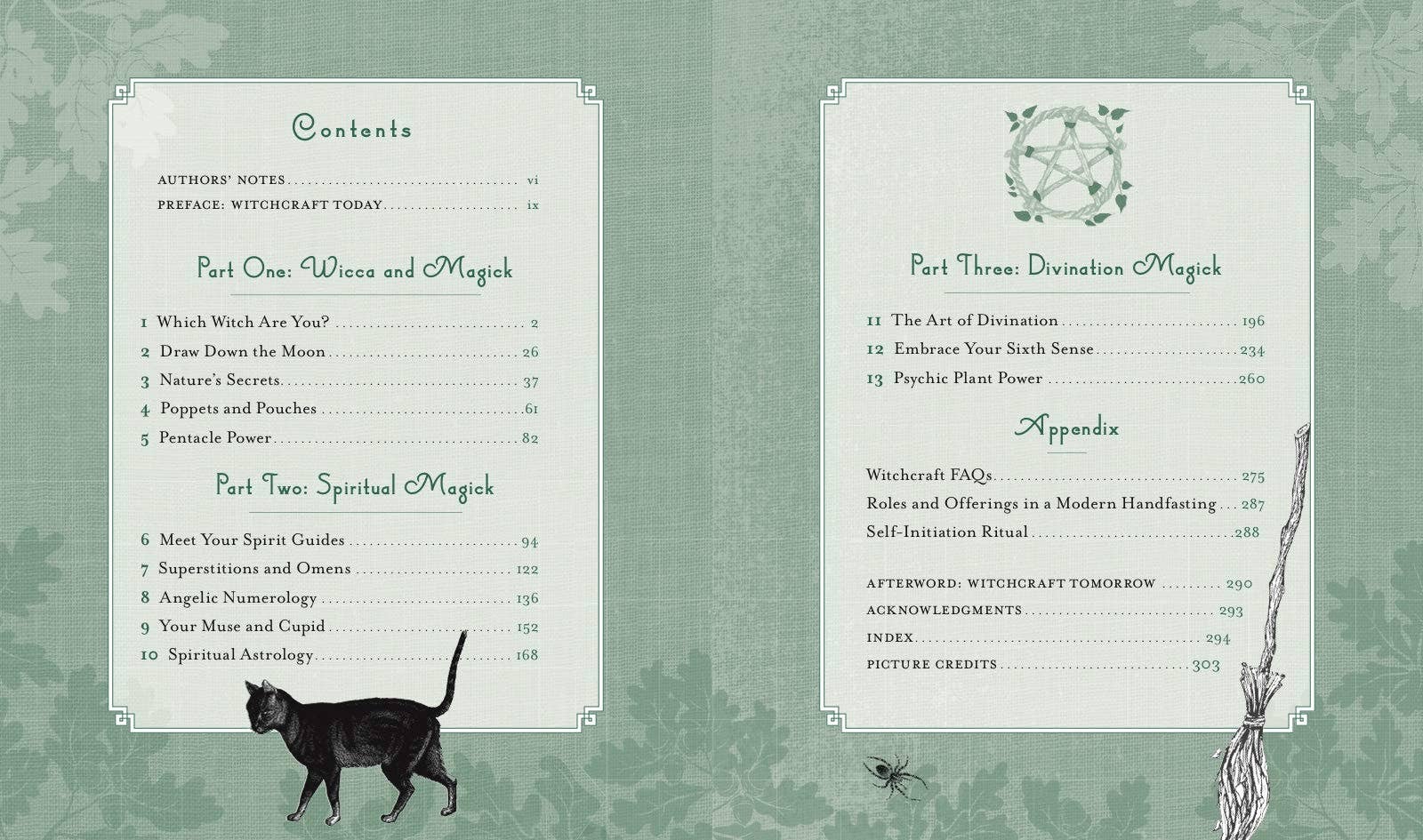 Hachette Book Group - Wholesale Body, Mind & Spirit Book - Witch's Way by Shawn Robbins6