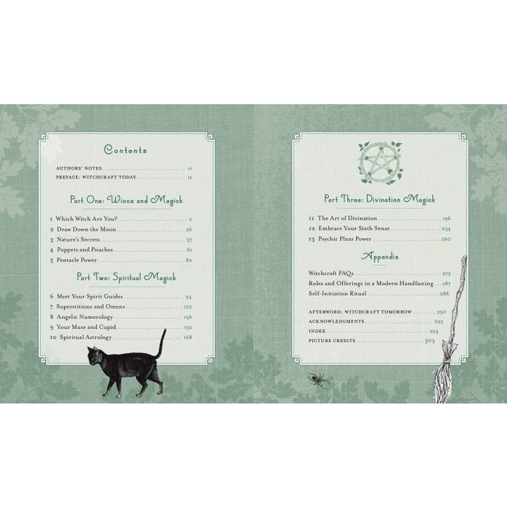 Hachette Book Group - Wholesale Body, Mind & Spirit Book - Witch's Way by Shawn Robbins6