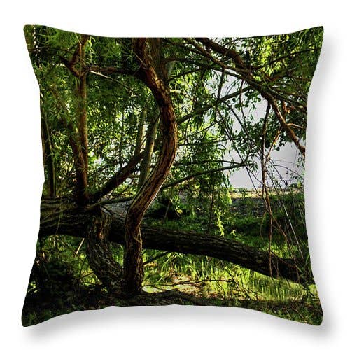 „HET BOSLANDSCHAP IN HET WATER” KUSSEN voor wholesale door sorayadapuzzostore