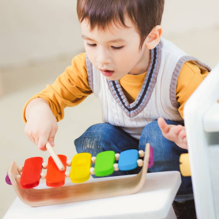 PlanToys - Wholesale Musical Toy - Kids & Baby - Oval Xylophone2