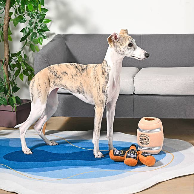 Hugsmart Products Inc - Vendita all'ingrosso Peluche - Cani - HugSmart Pet - Food Party | Barile di Whiskey4