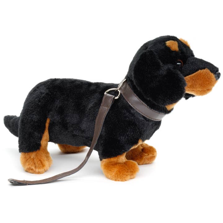 Uni Toys - Wholesale Stuffed/Plush Toy - Kids & Baby - Dachshund, standing (with leash) - cuddly/plush toy1
