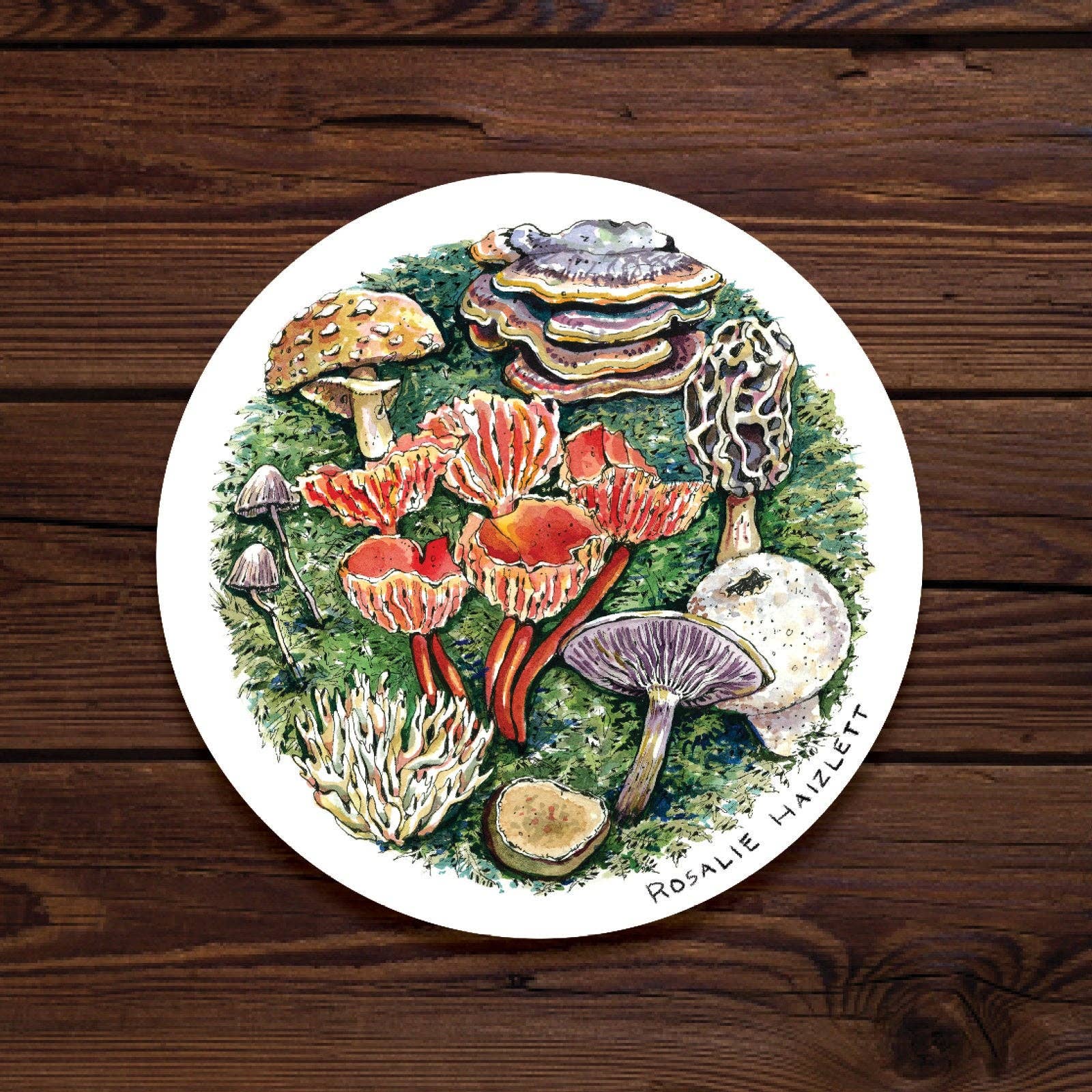 Rosalie Haizlett Illustration – Engroshandel Klistermærke – Skov svampe Vandtæt Sticker1
