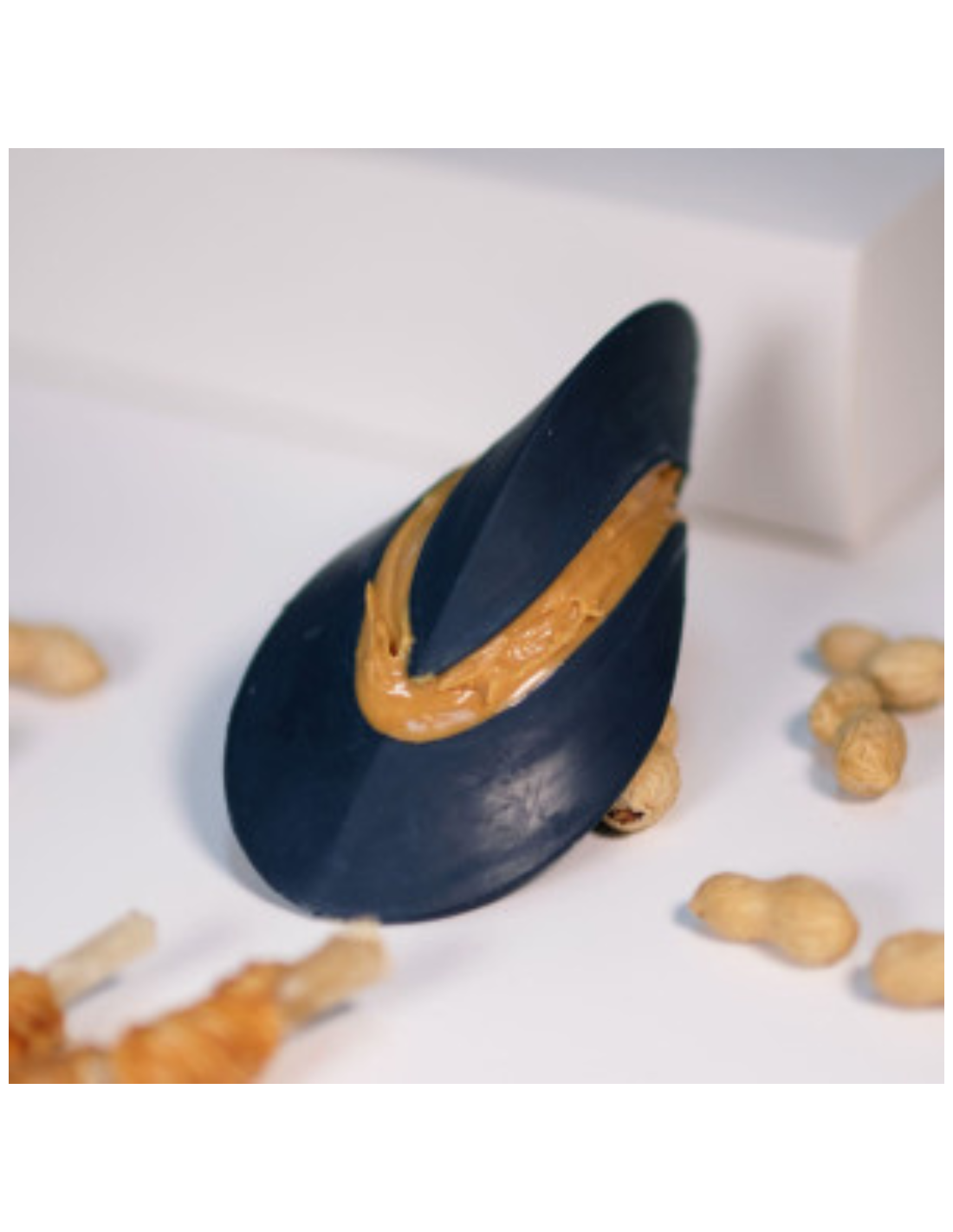 Only An Ocean Europe - Wholesale Pet Chew Toy - Dog - PetDreamHouse ChewtasticGeo-Toys & Geo-Gentle12