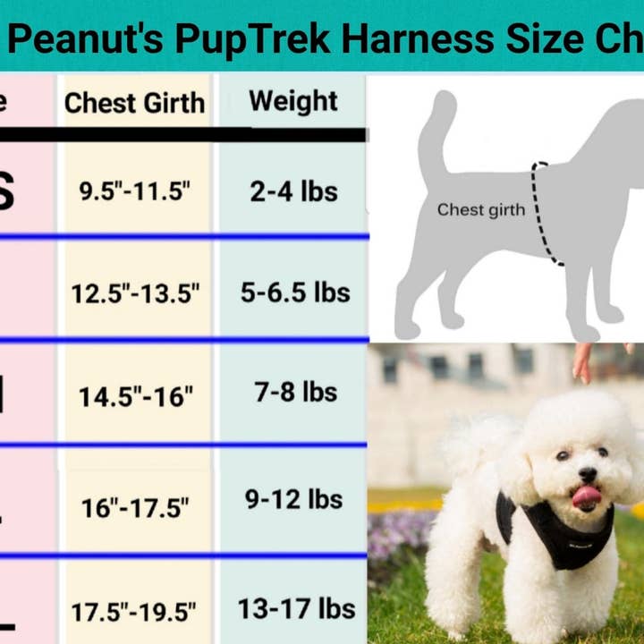 Mr. Peanut's - Wholesale Pet Harness - Dog - Mr. Peanut's PupTrek Small Dog/Cat Soft Mesh Step In Harness