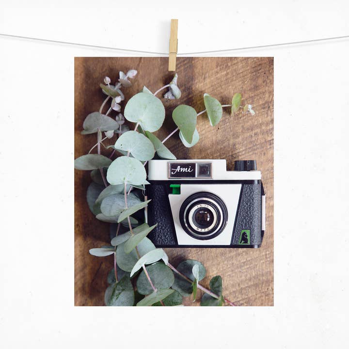 Photographie d'appareil photo vintage Ami | Impression passe-partout 5x7 ou 8x10 pour la vente par Jillian Audrey Photography