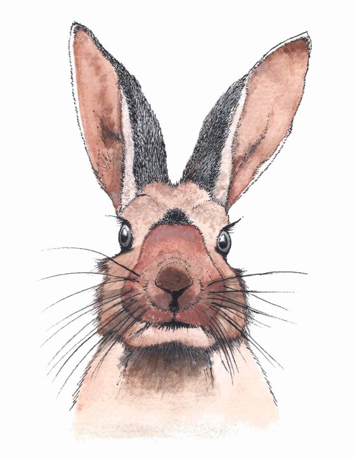 Wild Rabbit Wall Art Print for wholesale by Kellie Cooke Art