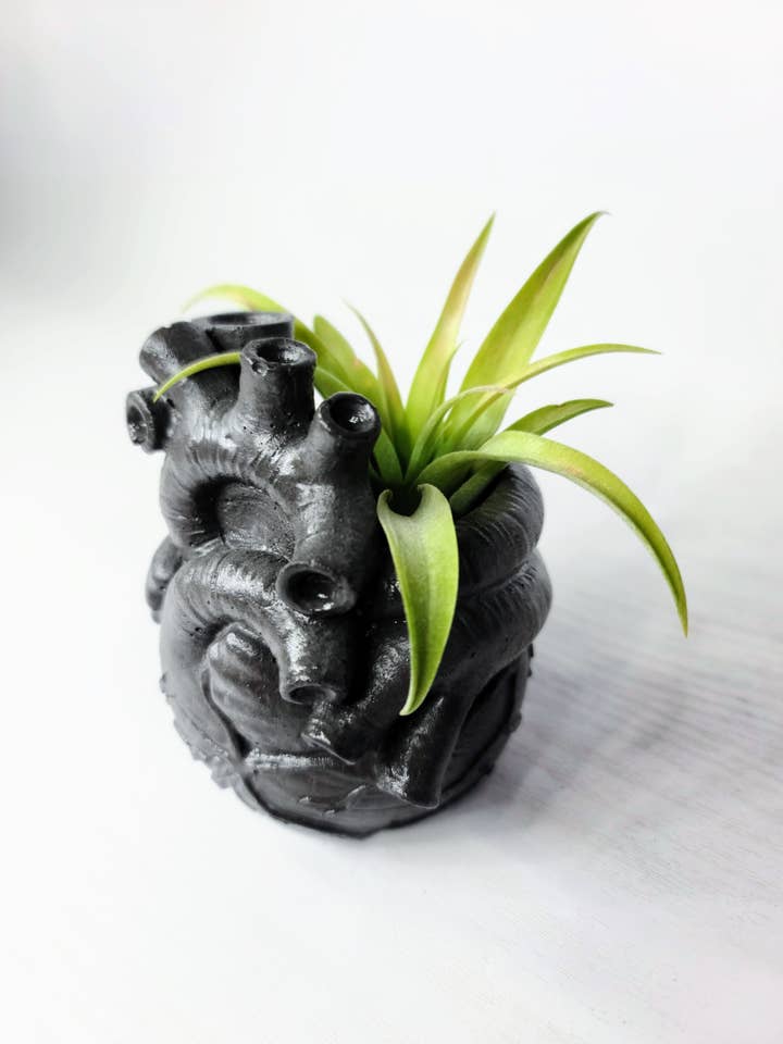 Anatomical Heart Concrete Planter or Vessel | Air Plant pot for wholesale by Geoform Designs
