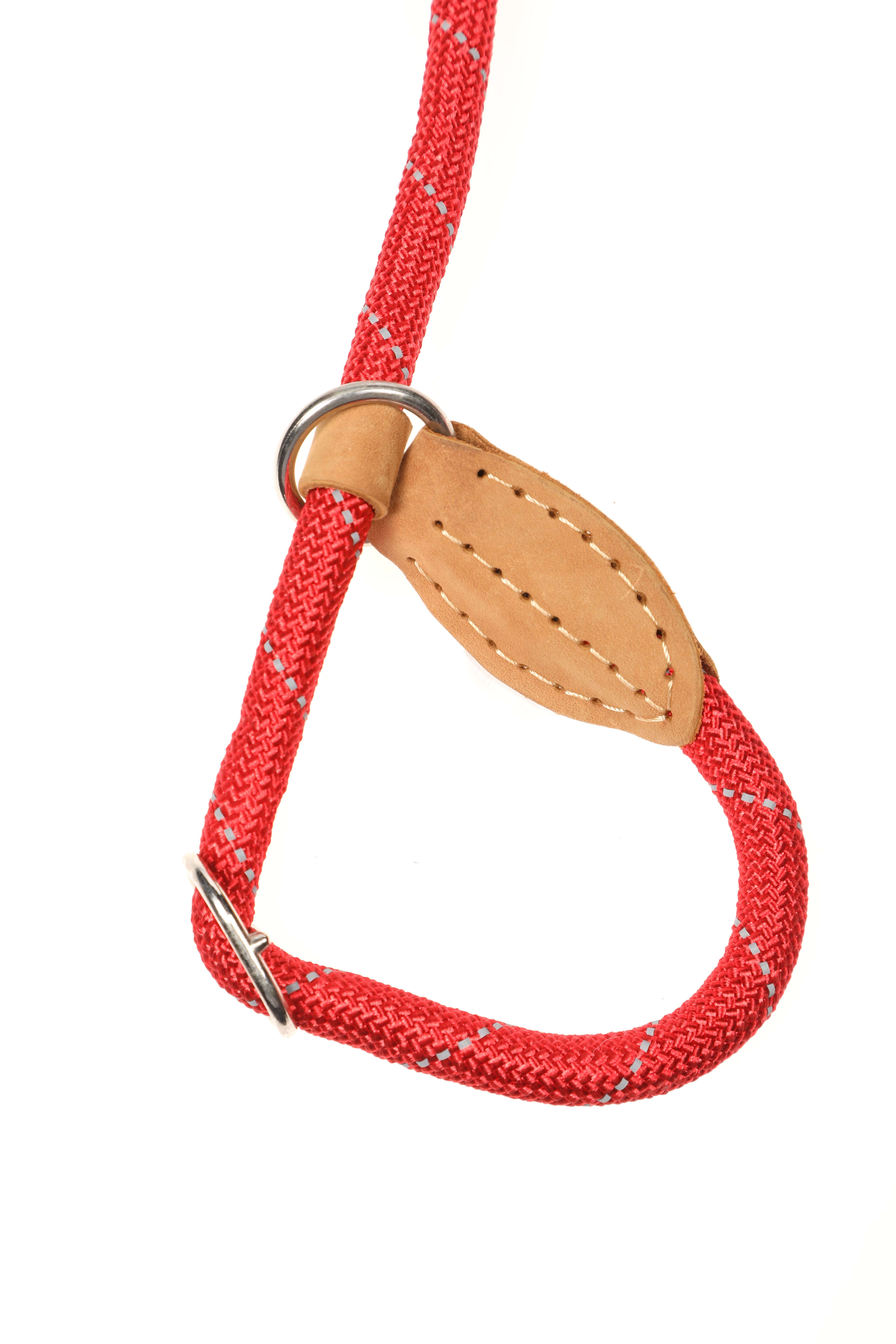 Doodlebone - Vente Laisse – chien - Laisse coulissante pour chien avec arrêt de sécurité5