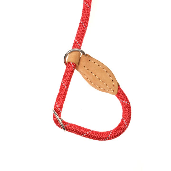 Doodlebone – Großhandel Leine – Hund – Hundeleine5