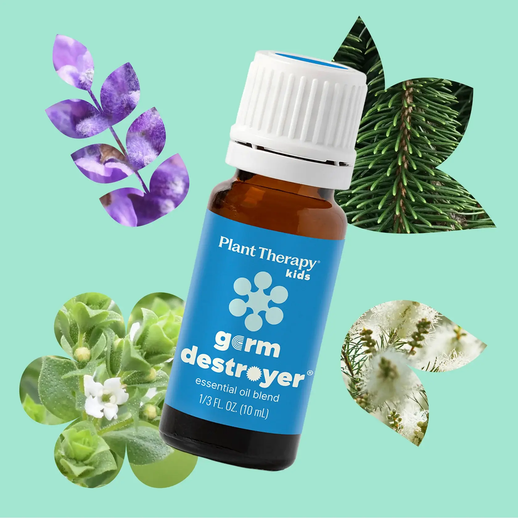 Plant Therapy - Wholesale Essential Oil - Germ Destroyer KidSafe Essential Oil10mL2
