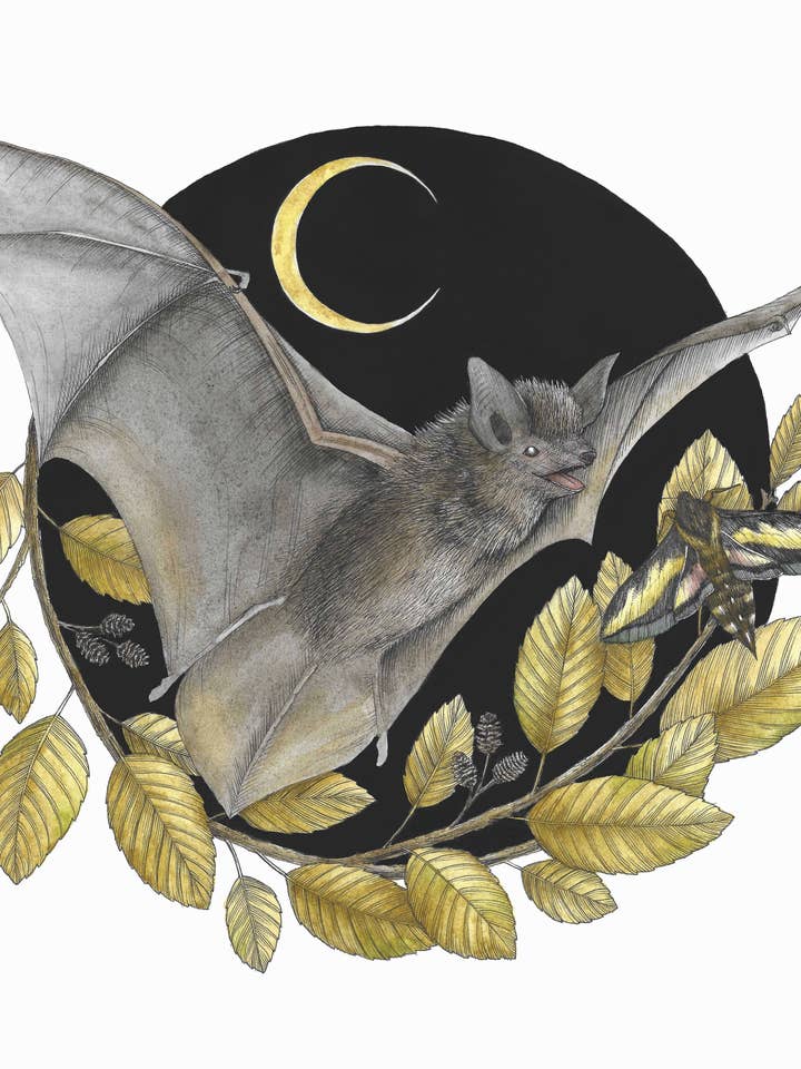 Watercolor Art Print of Bat, Moth, and Crescent Moon for wholesale by Kyla Rae Design