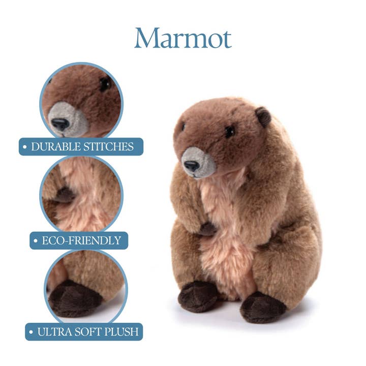 The Petting Zoo - Wholesale Stuffed/Plush Toy - Kids & Baby - 9" (22cm) Wild Onez Marmot / Groundhog2