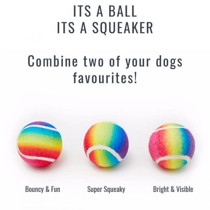 PetLondon - Wholesale Pet Fetch Ball - Dog - Rainbow Dog Tennis Balls1