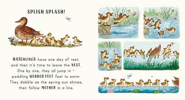 Texas Bookman – Engroshandel Bog til babyer og småbørn (0-2) – Sænk farten i parken2