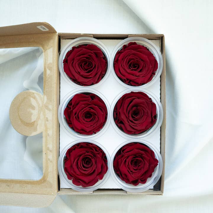 Fairmile Co. - Wholesale Dried/Pressed Flowers - Preserved red roses from Ecuador 1