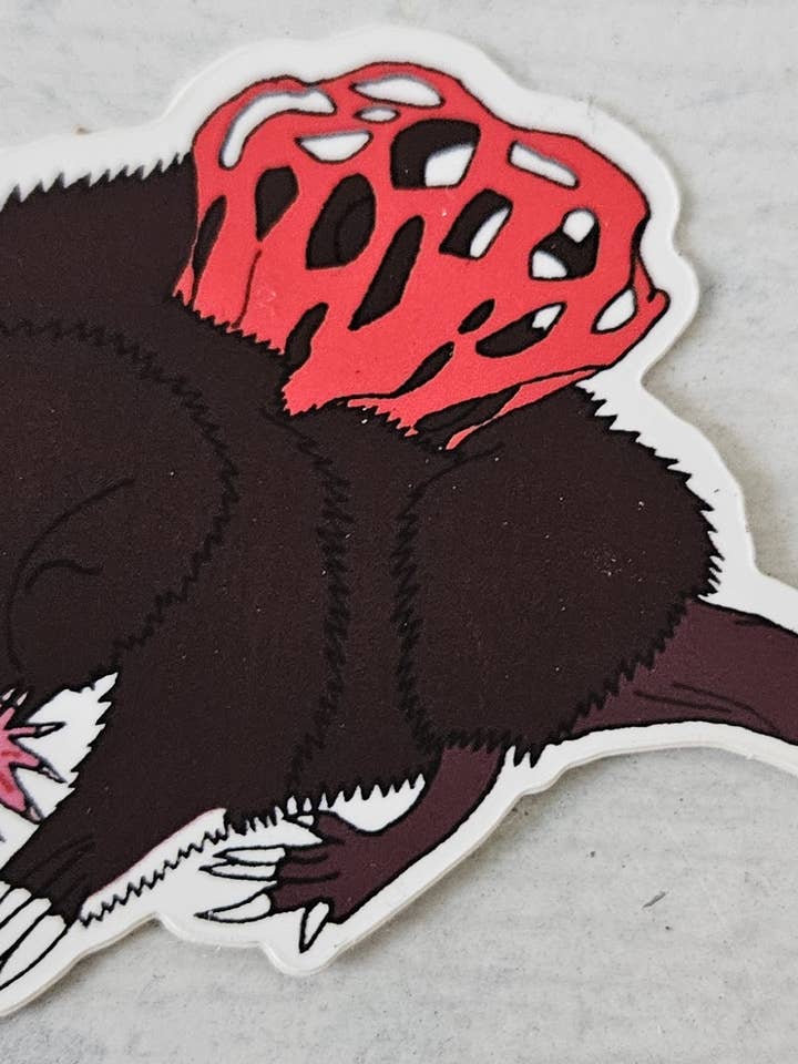 Rød Stinkhorn Kurv Stjernemuldvarp Vinyl Klistermærke for engroshandel hos Zeppy Stardust Studios