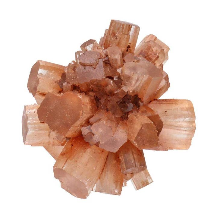 Small Raw Aragonite and other Purchase Wholesale creme leite. Free Returns & Net 60 Terms on Faire trending on Faire.