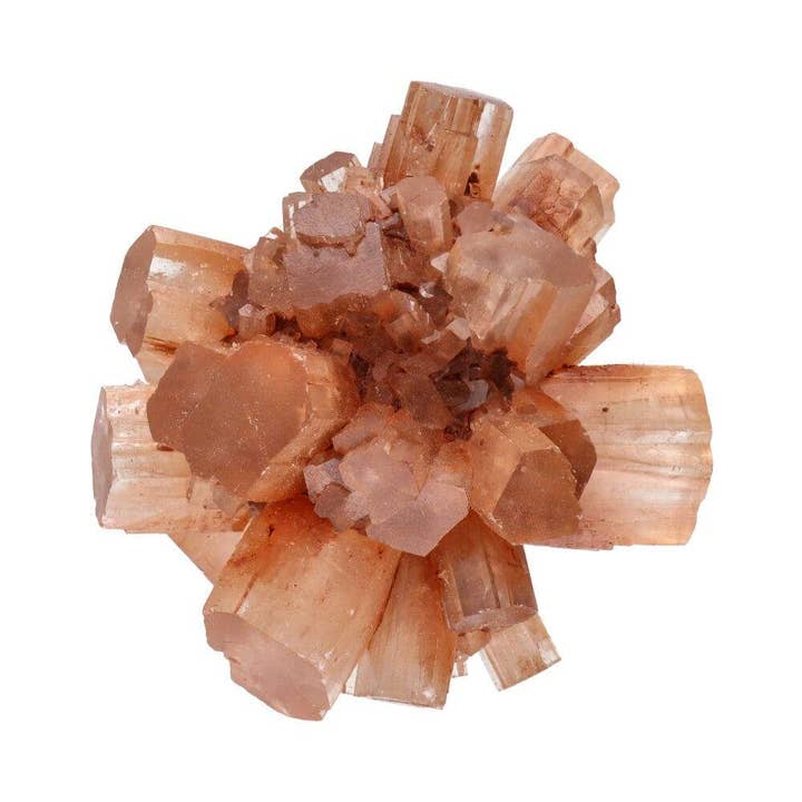 Vives de la Cortada S.L - Vente Pierre et cristal de spiritualité - Petite aragonite à Brutus