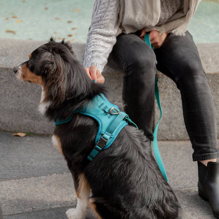 Peachy Dogs - Wholesale Pet Harness - Dog - Mojito Classic 2.0 Harness9