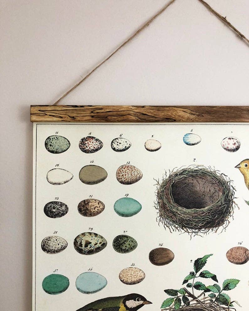 Cottonwood Co – Großhandel Poster – Magnetische Poster-Aufhänger2