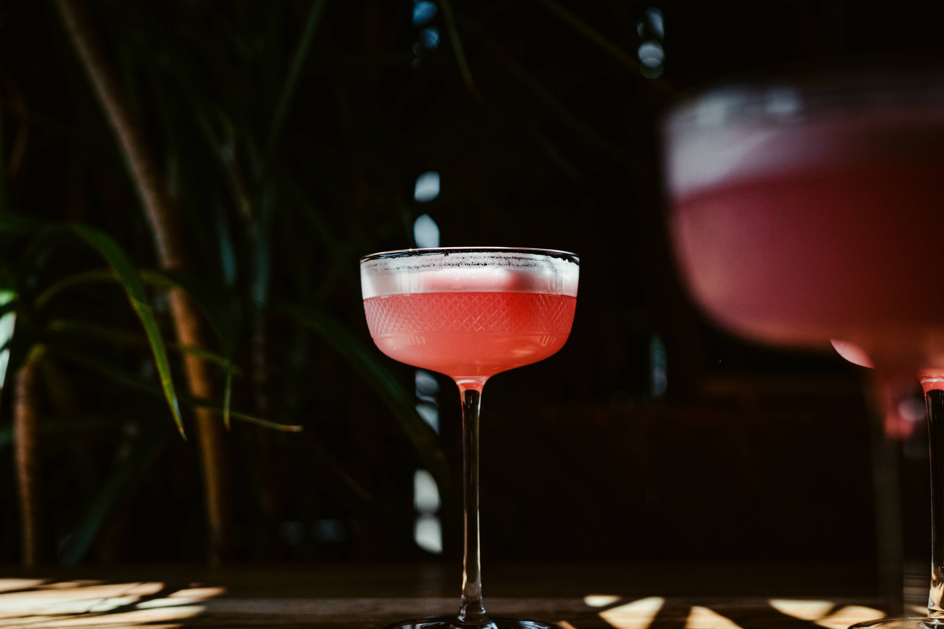 Hospitality Glass – Engroshandel Cocktail-/likørglas – Vibrance 8 ounce coupé2