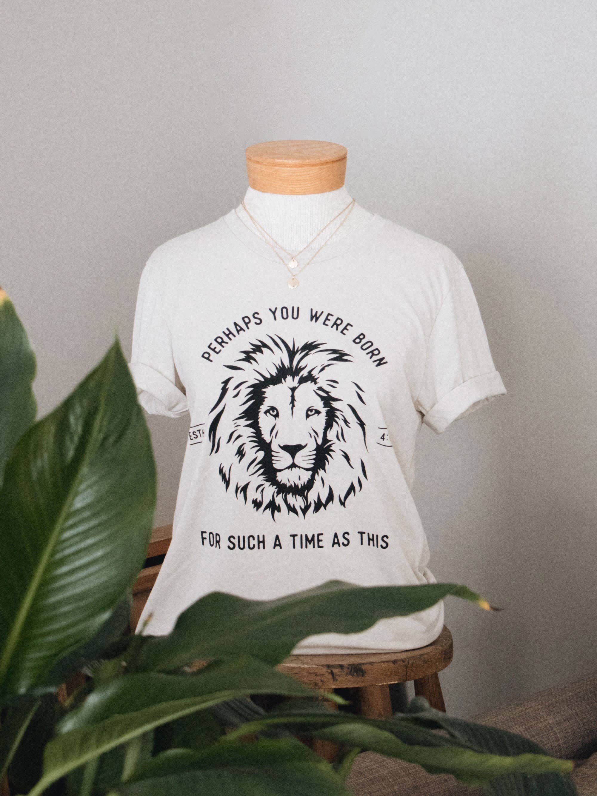 The Anastasia Co - Wholesale Screen Printed T-Shirt - Women's - For Such a Time Esther Lion Christian Graphic Tee - Stone3