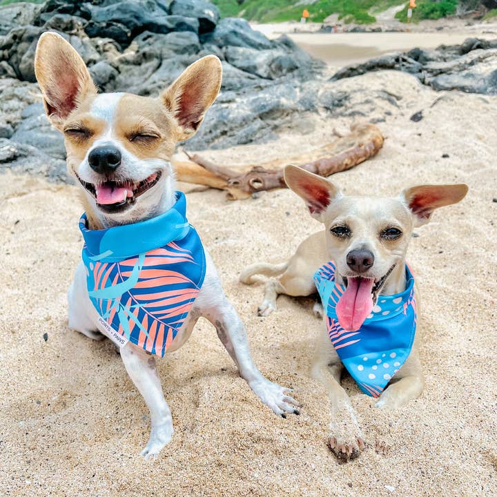 BANDANA À SÉCHAGE RAPIDE - PORTER pour la vente par Ports and Paws