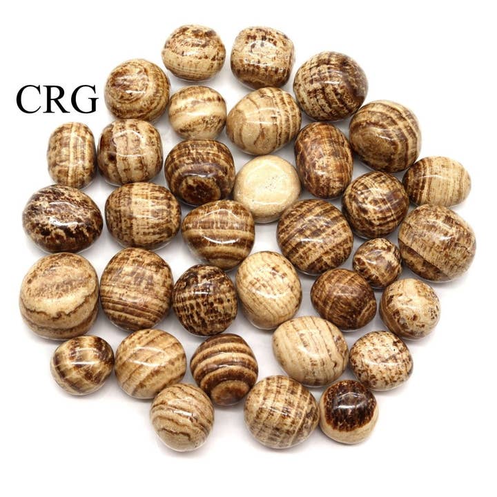 Crystal River Gems LLC - Wholesale Spiritual Stone/Crystal - Aragonite Tumbled (Size 20 to 35 mm) Bulk Wholesale Lot Crystals Minerals