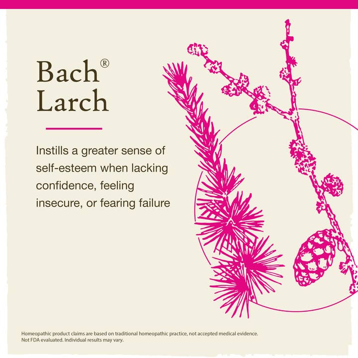 RESCUE & Bach Original Flower Remedies - Wholesale Oral Supplement/Vitamin - Bach Original Flower Remedies Larch 0.7 fl. oz. (20mL)